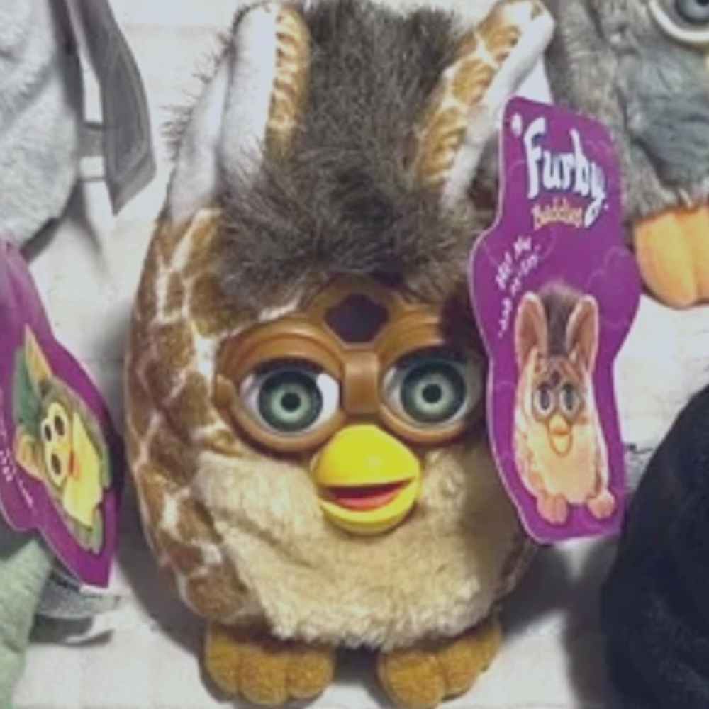 Furby Buddy